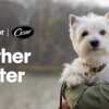 TripAdvisor & Cesar Are Sending You on a Dog-Friendly Adventure!