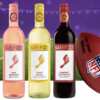 Feel the Rush — Win a VIP Trip to Super Bowl LX!