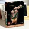 Exclusive Walmart Offer: FREE LEGO Orchid Set for New TCB Members!