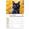 2024 "Rescued!" Calendar for Free