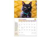 2024 "Rescued!" Calendar for Free