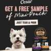 Pup Freebie Alert: FREE CESAR Mini-Pouch Sample