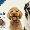 Love Made Fresh – Try Blue Buffalo FREE with This Exclusive Kit