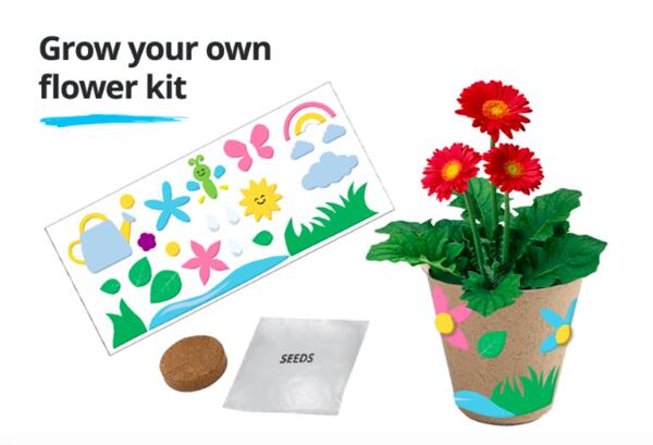 Grow Your Own Flower Kit for Free at JCPenney Kids Zone