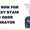 Eco-Friendly & Pet-Safe – FREE Sample of EcoStrong Carpet Cleaner