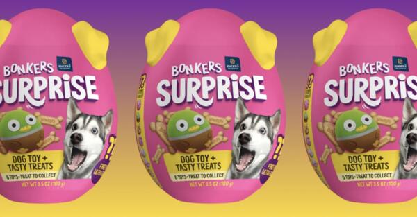 Who's a Good Dog? Get a FREE BONKERS Surprise!