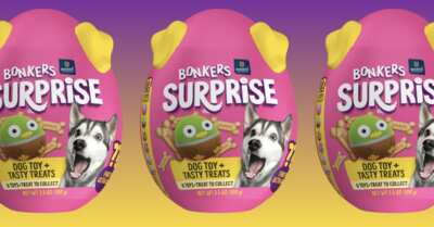 Who's a Good Dog? Get a FREE BONKERS Surprise!