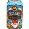 Earn a Free Can of Aqua ViTea Kombucha After Rebate!