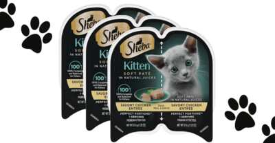 Try Sheba Perfect Portions Kitten Food FREE – Limited Time Offer