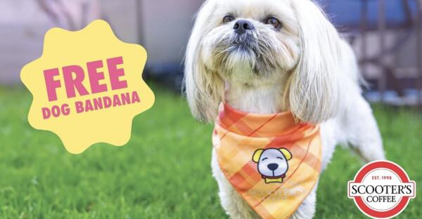 Paws Up! Free Pup Cups & Bandanas at Scooter’s!