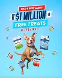 Treat your pet with this Free Blue Buffalo Dog Treats! - After Rebate