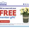Plant Some Joy – FREE Spring Flower at Lowe’s