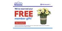 Plant Some Joy – FREE Spring Flower at Lowe’s