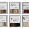 Free Paula Young Hair Color Swatches