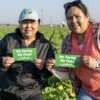 Farms Feed Us – Show It with a FREE No Farms No Food Sticker