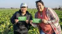 Farms Feed Us – Show It with a FREE No Farms No Food Sticker