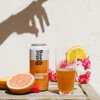 Better Booch  Kombucha for Free at Meijer's
