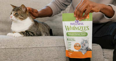 Claim a Free Sample of Wellness Whimzees Cat Treats!
