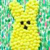 Pom-Pom Bunny Art Craft Event for Free at Michaels
