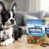 Try Blue Buffalo Dog Treats for FREE with This Chatterbox Kit