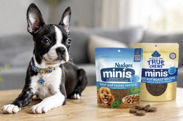 Try Blue Buffalo Dog Treats for FREE with This Chatterbox Kit