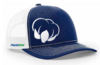 PhytoGen Cottonseed Caseball Cap for Free