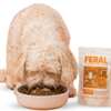 Claim Your FREE 30-Day FERAL Dog Multivitamin Pack