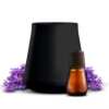 Airwick Essential Mist Diffuser for Free
