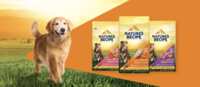 Natural Nutrition for Dogs – Try Nature’s Recipe for Free!