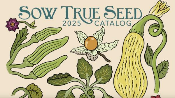 Dream. Plan. Grow. Get Your FREE Seed Catalog Today!