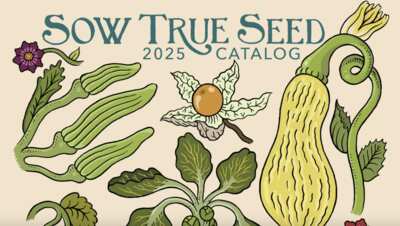 Dream. Plan. Grow. Get Your FREE Seed Catalog Today!
