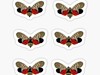 Free Spotted Lantern Fly Stickers
