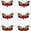 Free Spotted Lantern Fly Stickers