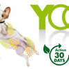 Free YOOS Essential Oil Dog Collar