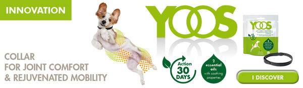 Free YOOS Essential Oil Dog Collar