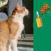 Protect Your Feline Friend—Free Hartz Nature's Shield Flea & Tick Spray!