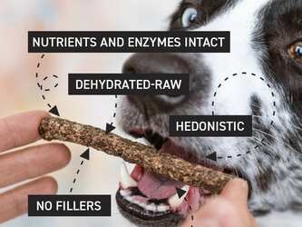 Free Samoke of Rocketo's Organic Dog Dental Treats