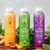 Free Garden of Flavor Cold-Pressed Energy Drink