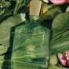 Luxury Freebie: Creed Wild Vetiver Sample