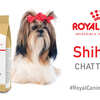 Free Royal Canin Shih Tzu Chatterbox Kit!