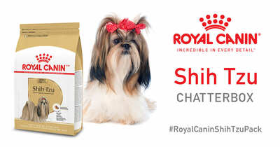 Free Royal Canin Shih Tzu Chatterbox Kit!