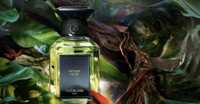 A Bold New Scent from Guerlain – Try VÉTIVER FAUVE for Free