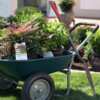  Grow in Style: Win a Southern Living Plants & Décor Set