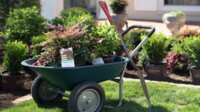  Grow in Style: Win a Southern Living Plants & Décor Set