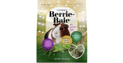 Happy Pets, Free Treats: 1 lb. Berrie-Bale Mint
