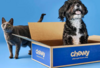 Pet Video Consult for FREE from Chewy