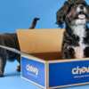 Pet Video Consult for FREE from Chewy