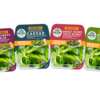 Try Revol Greens Salad Blend for Free – Only at Target!