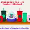 10 Million Reasons to Play: Starbucks for Life Instant Win Game!