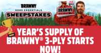 Your Messes Covered – Win a Year of Brawny Towels!